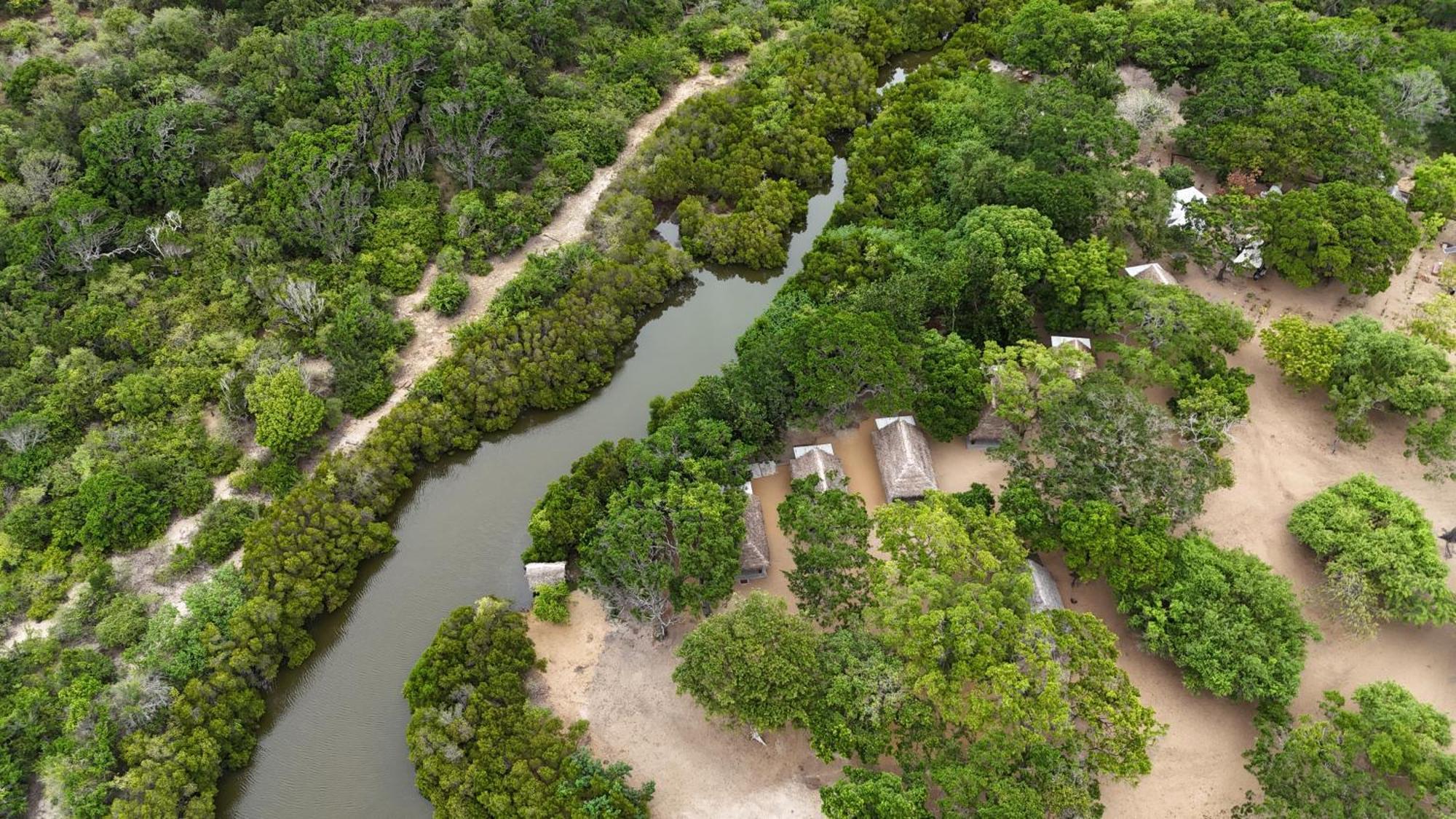 Peanut Farm Surf And Wild Resort - Arugambay Arugam Bay Exterior foto