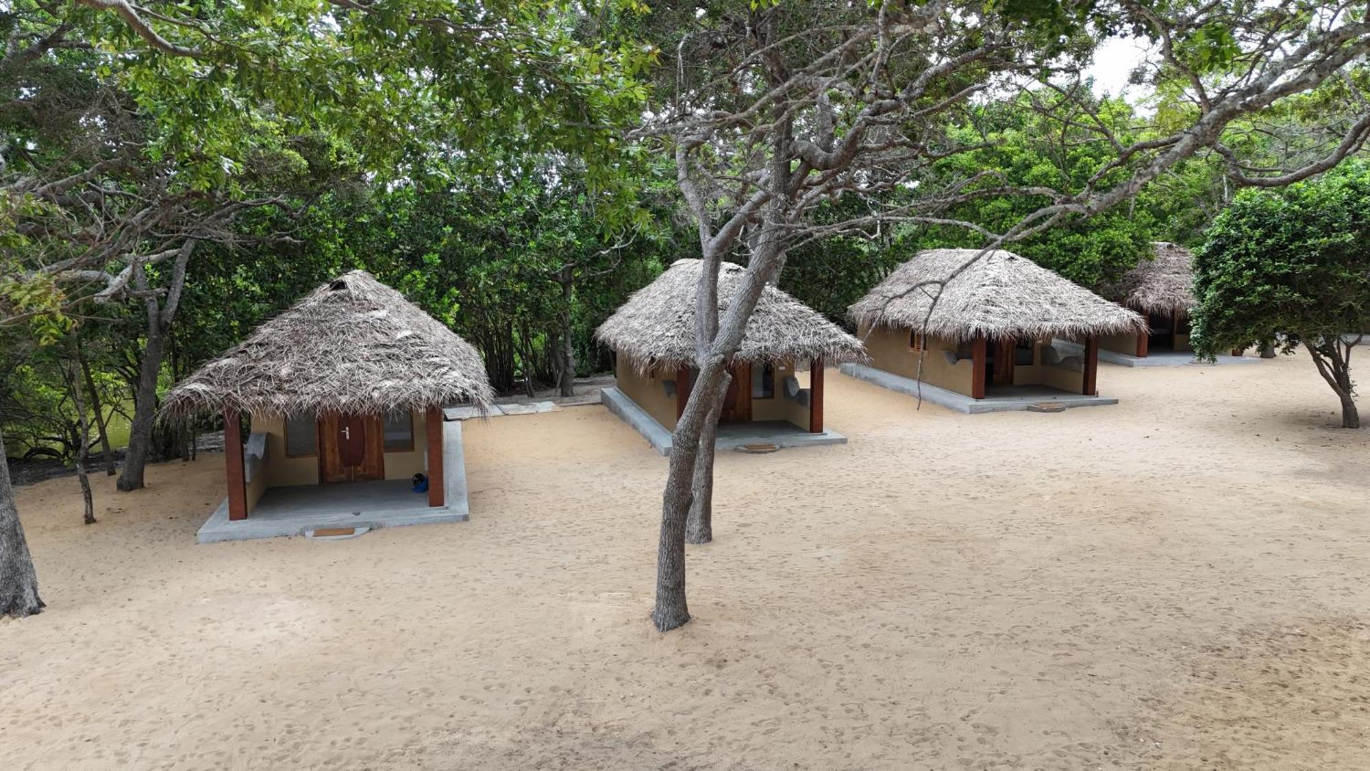 Peanut Farm Surf And Wild Resort - Arugambay Arugam Bay Exterior foto