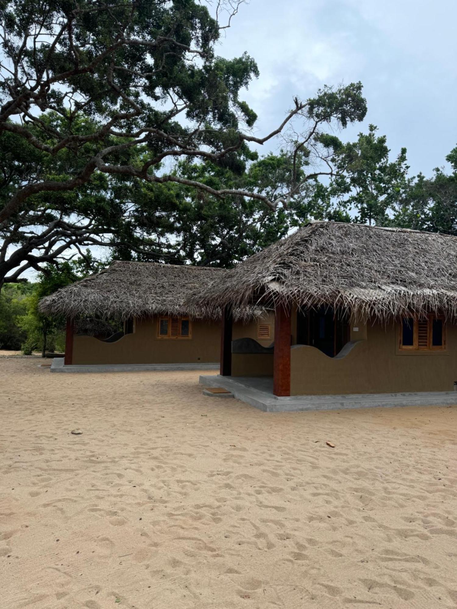 Peanut Farm Surf And Wild Resort - Arugambay Arugam Bay Exterior foto